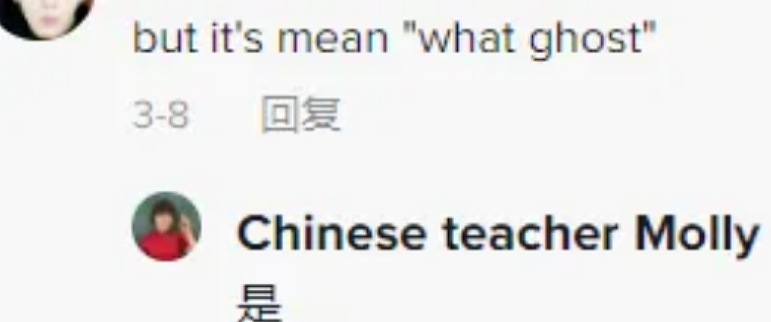 中文老师在TikTok教说脏话！老外直呼：牛逼（组图） - 10