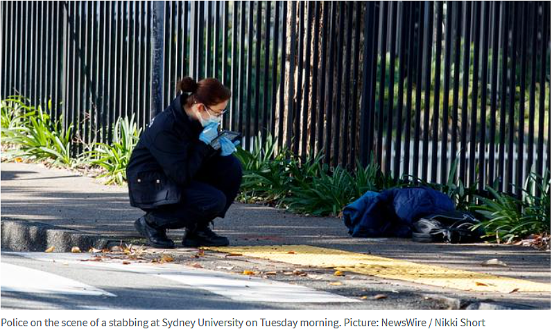 戾气太重！澳亚裔父亲遭随机捅杀身亡，悉尼大学生重伤送医（组图） - 6