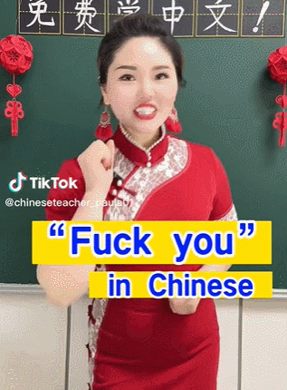 中文老师在TikTok教说脏话！老外直呼：牛逼（组图） - 8