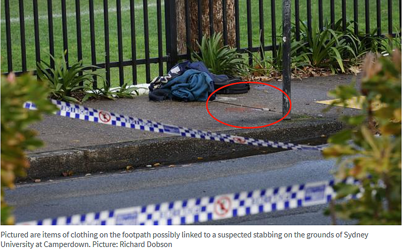 戾气太重！澳亚裔父亲遭随机捅杀身亡，悉尼大学生重伤送医（组图） - 7
