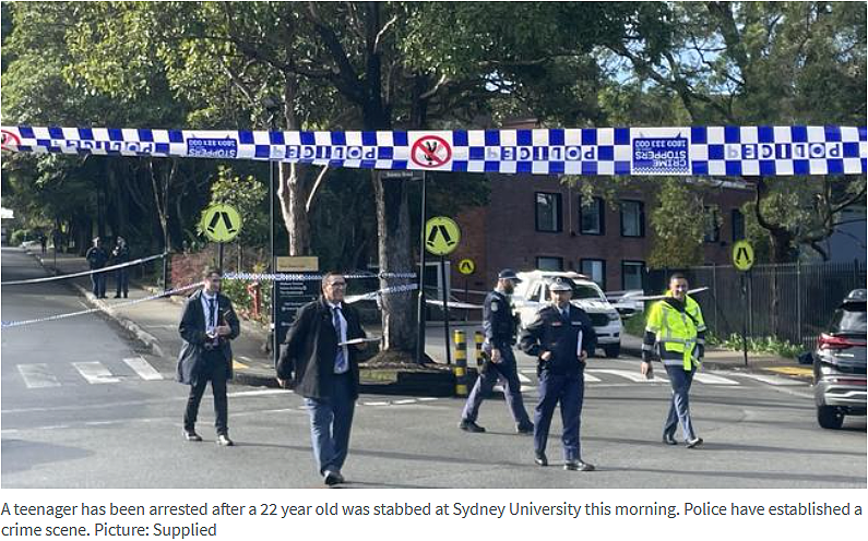戾气太重！澳亚裔父亲遭随机捅杀身亡，悉尼大学生重伤送医（组图） - 9