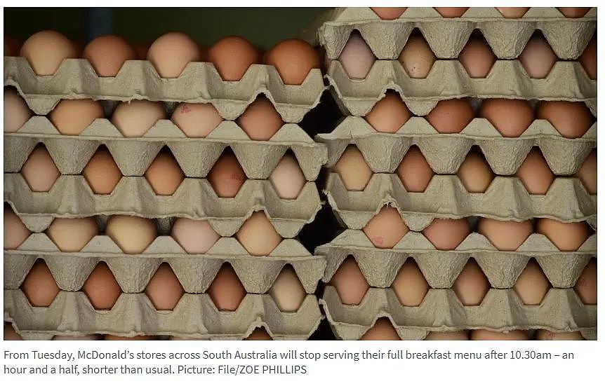 阿德今晨成为全澳最冷首府城市；鸡蛋供应短缺，南澳麦当劳限制早餐时间！（组图） - 5