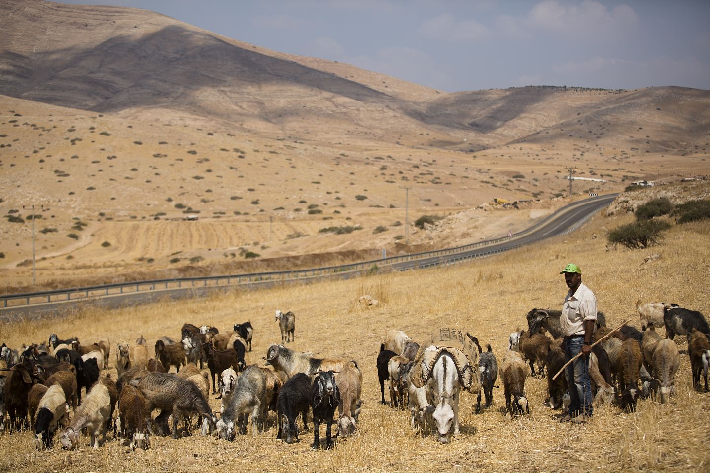 以色列NGO称内塔尼亚政府吞并巴人约12平方公里土地（组图） - 2