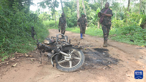 刚果（金）一家中企遭武装袭击，造成数名中国公民死亡失踪，外交部回应（图） - 1