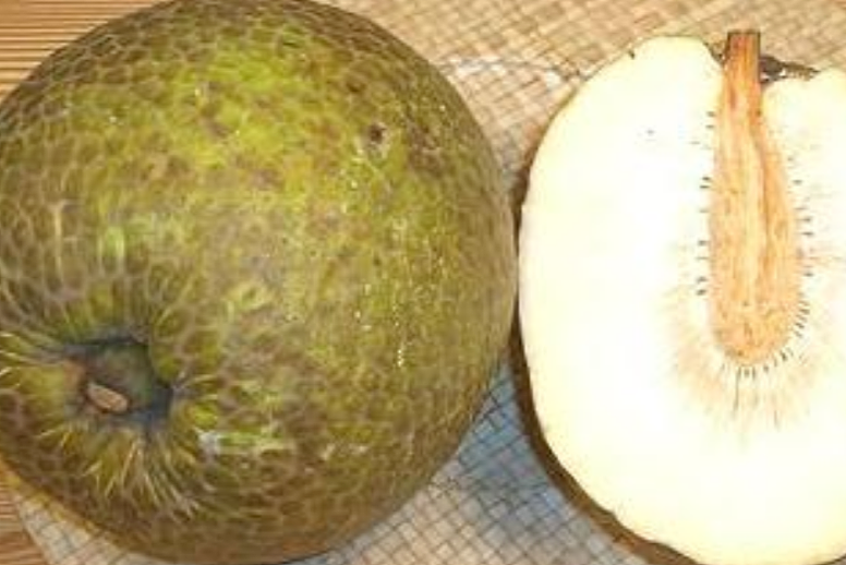海南又一奇特水果上市，今年卖到100多元一斤，吃起来像土豆（组图） - 5