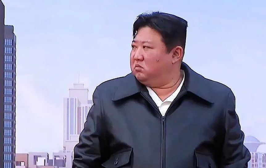 金正恩的脸上究竟长了一颗什么东西？（组图） - 23