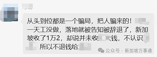 被老乡骗2.6万、刚入境准证被割！大批中国人到新加坡工作被坑经历曝光（组图） - 14