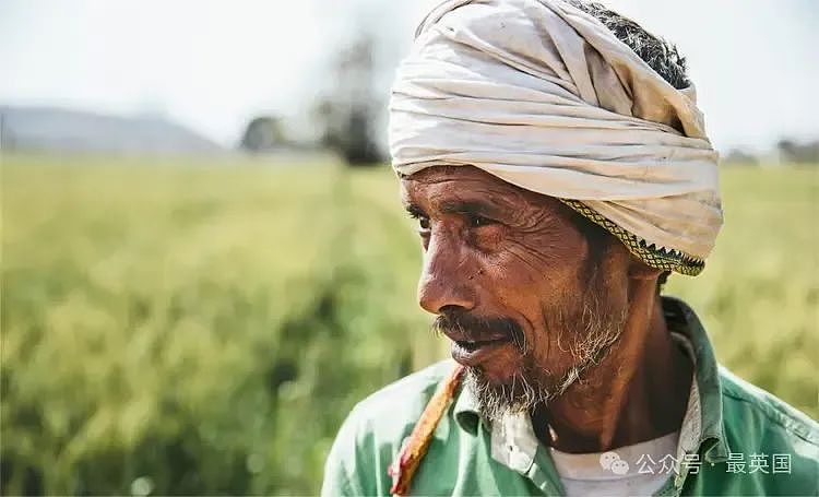 近60℃炼狱，印度人绝望求生！猴子热死蚊子消失，恒河已不堪重负！“热死人“不再是玩笑…（组图） - 10