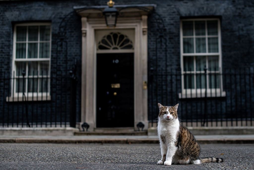 英国第一猫Larry镇守首相府14年，陪过5位首相！未来或地位不保（组图） - 10