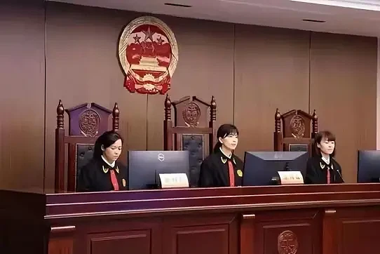 17岁少女被拐后极限操作，把人贩子反拐卖，法院：判个批评吧（组图） - 16