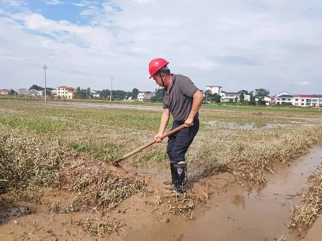 水淹平江：一场洪水的意料之中和之外...（组图） - 7