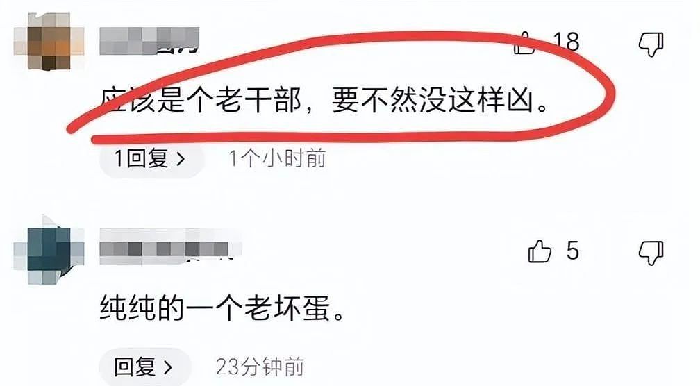 北京地铁老人扒拉女生后续：老人不简单，邻居爆猛料，评论区炸锅（组图） - 10