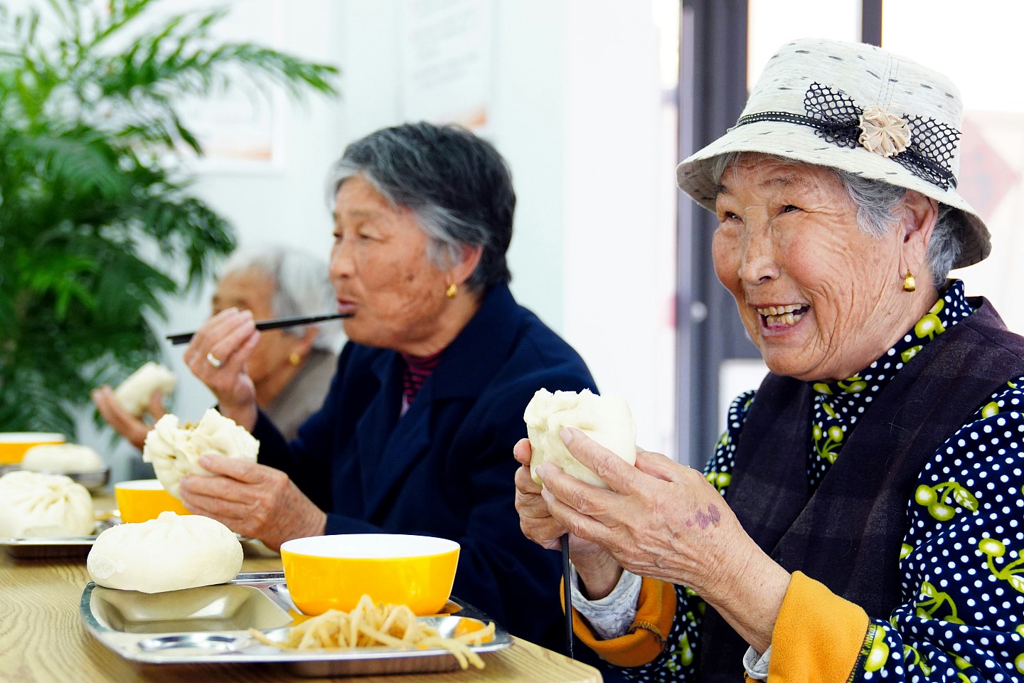 中国百岁以上人口居全球之冠；研究：距“长寿强国”仍有较大空间（组图） - 2