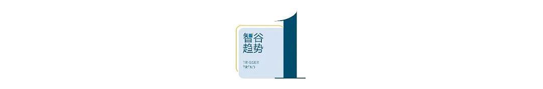 为什么需要调查记者：5个记者顶100个市场监管局！（组图） - 1