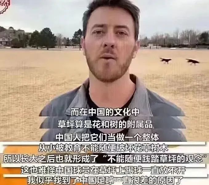 “中国太危险，遍地是美食“！144小时过境免签，歪果仁乐“疯“了，“街上干净，厕所还免费“..（组图） - 24