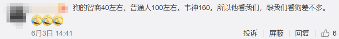 北大韦神捐款1600万抗洪？一场围绕韦东奕的捧杀正在逼近…（组图） - 5