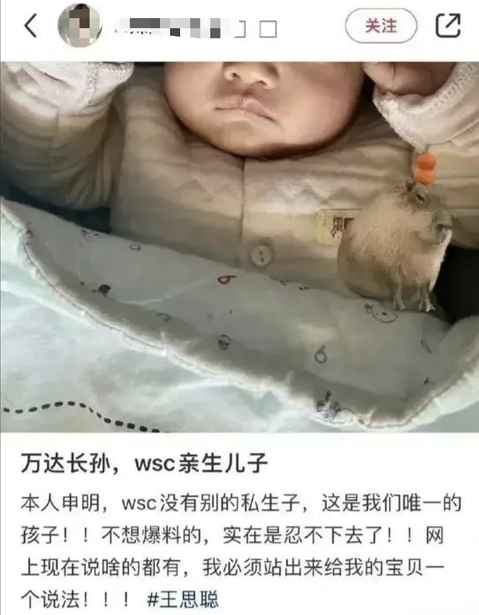 王思聪私生女事件再升级，好大一出戏，原来我们小瞧了黄一鸣的计划（组图） - 4