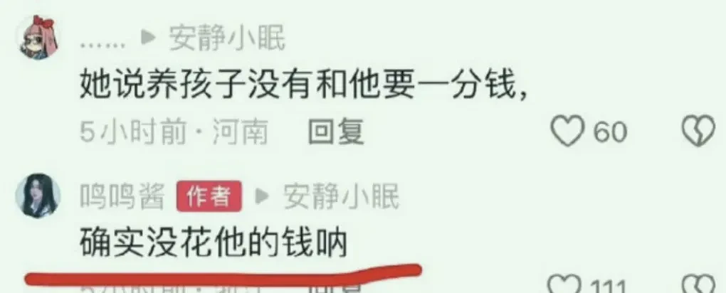 王思聪私生女事件再升级，好大一出戏，原来我们小瞧了黄一鸣的计划（组图） - 29