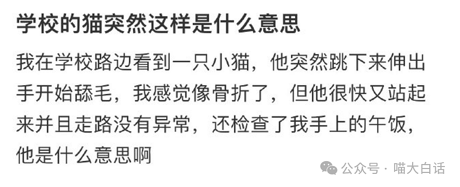 【爆笑】“出租车司机被当街强吻？”啊啊啊啊啊这个世界好癫（组图） - 56