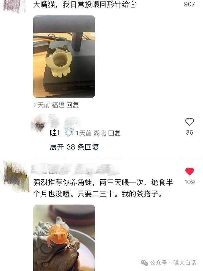 【爆笑】“和男朋友吵架之后……”哈哈哈哈这下谁还能吵起来（组图） - 81