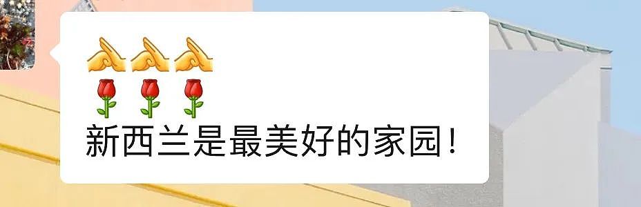 “新西兰仍是美好家园”！华人老夫妻：独居遇突发事件，警察和多族裔邻居伸出援手...（组图） - 8