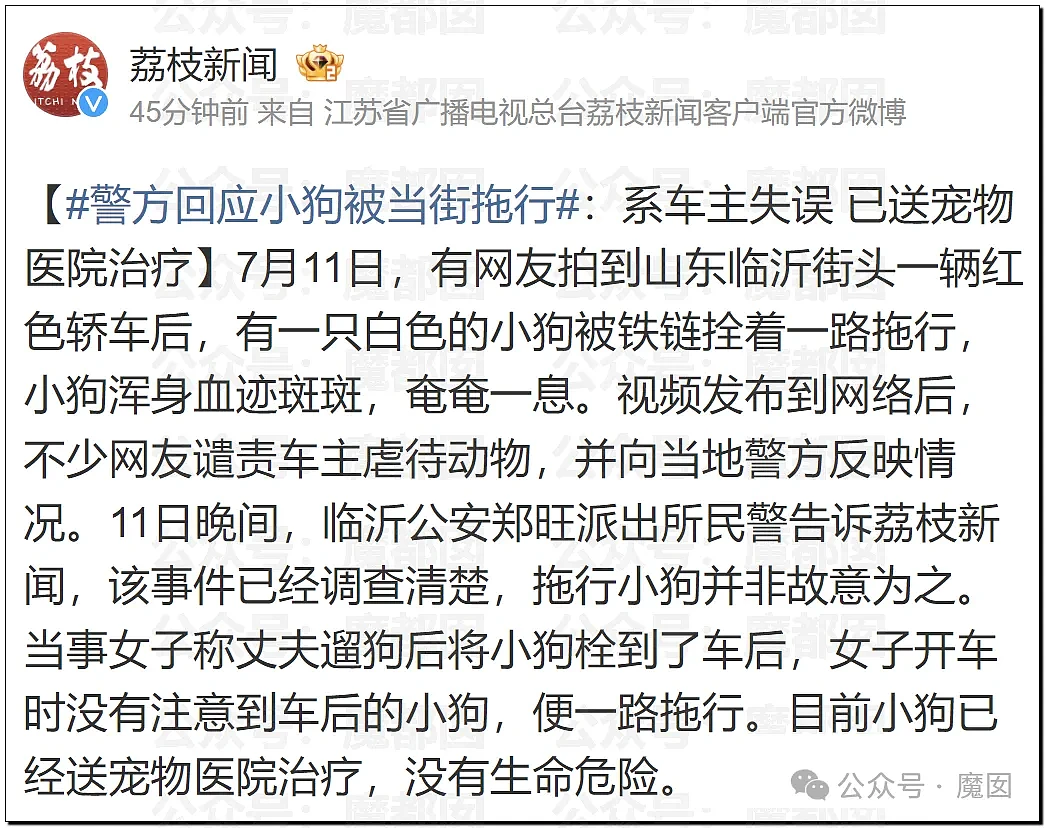 丧心病狂！狗遭车子拖行“浑身是血”，炸裂！哥哥默许自己老婆和弟弟聊天记录引发伦理道德大讨论（视频/组图） - 11