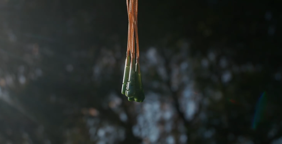 新西兰发奥运制服，打开箱子全是中国货！各国队服大PK，澳洲主色调为绿色和黄色（组图） - 16