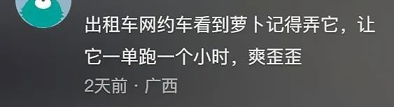 “10公里4块钱”惊呆全网，无人驾驶出租车空降整顿打车价格了（组图） - 30