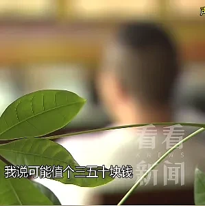 上海一别墅绿化带惊现爱马仕等名牌包！养护工捡走5个随手放宿舍，“没啥用，可能值个三五十块钱”（组图） - 6