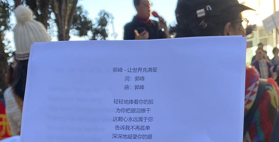 今天，新西兰华人爆发了！走上CBD街头，对现状大声说不：“必须改变...”（组图） - 29