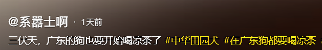 【爆笑】“10后为了嗑cp有多癫狂？”哈哈哈哈哈哈怎么什么都写啊！（组图） - 54