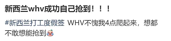 澳洲5万中国申请人签证作废后， 新西兰移民局官网被挤瘫痪！（组图） - 4