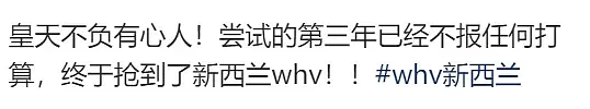 澳洲5万中国申请人签证作废后， 新西兰移民局官网被挤瘫痪！（组图） - 3