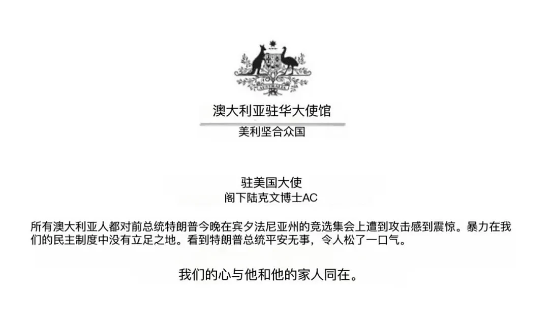 枪手身份已确认！特朗普不是被子弹打中？遇袭流血这一幕，将载入史册（组图） - 20