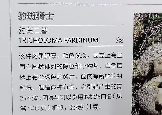 【爆笑】居然有人让汪苏泷和杨迪去做亲子鉴定？一开始我不敢信，看到最后：去吧，对谁都好...（组图） - 17