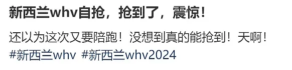 澳洲5万中国申请人签证作废后， 新西兰移民局官网被挤瘫痪！（组图） - 5