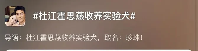 二胎疑似代Y？生完儿子不再拍戏，赴美休养多了个小女儿？献身大佬后找老实人接盘？（组图） - 10