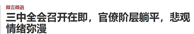 中共二十届三中全会开幕，中外媒体如何报道引关注（组图） - 8