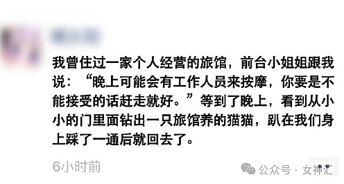 【爆笑】老公一个月给你20万，他不回家不离婚你愿意吗？网友夺笋：但不能突然回家！（组图） - 6