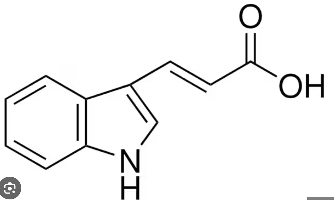 墨尔本医疗重大发现，发现哮喘的罪魁祸首以及能预防啦！（组图） - 2