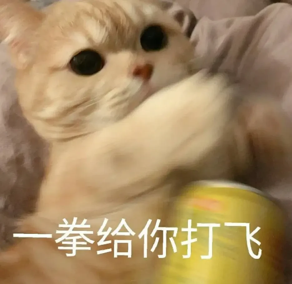 【宠物】网友养的猫偷遛出去干架，结果被黄毛狠揍一顿，猫：麻麻，我是去参加变形记（组图） - 1