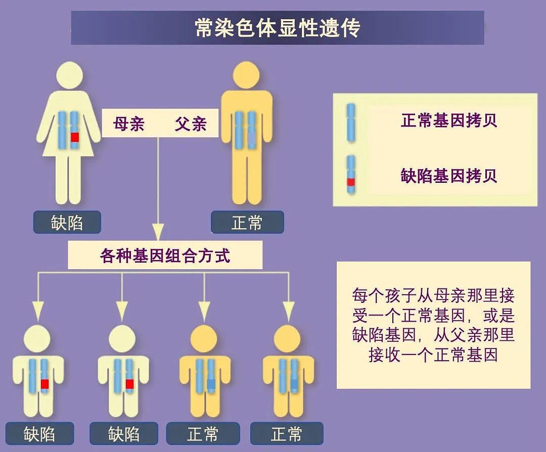 冲上热搜！20岁女孩患癌，竟牵出一家8口患同种病…（组图） - 2