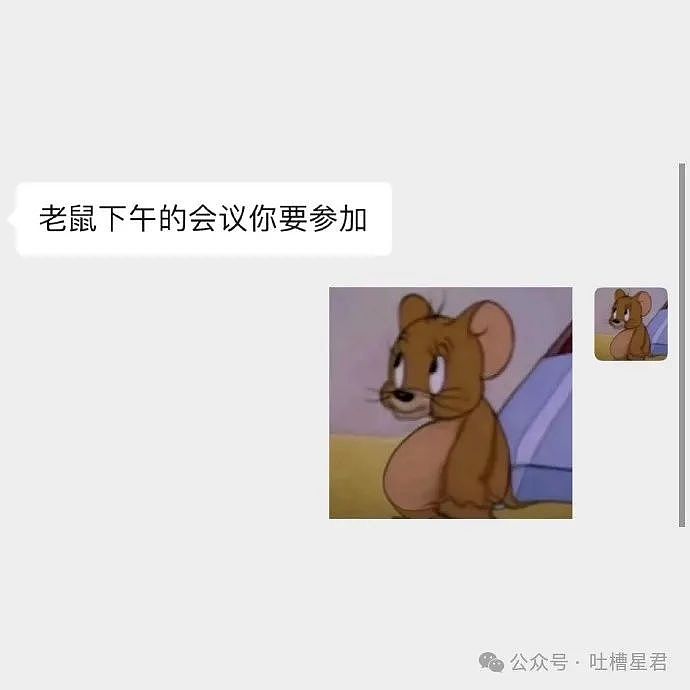 【爆笑】“无意间发现男友的离婚证？没想到...”网友夺笋：不分下一个前妻就是你（组图） - 8