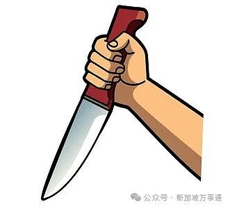 回国探亲之路受阻，准妈妈竟被新加坡丈夫恐吓：敢走就弄死你、剁成块！（组图） - 4