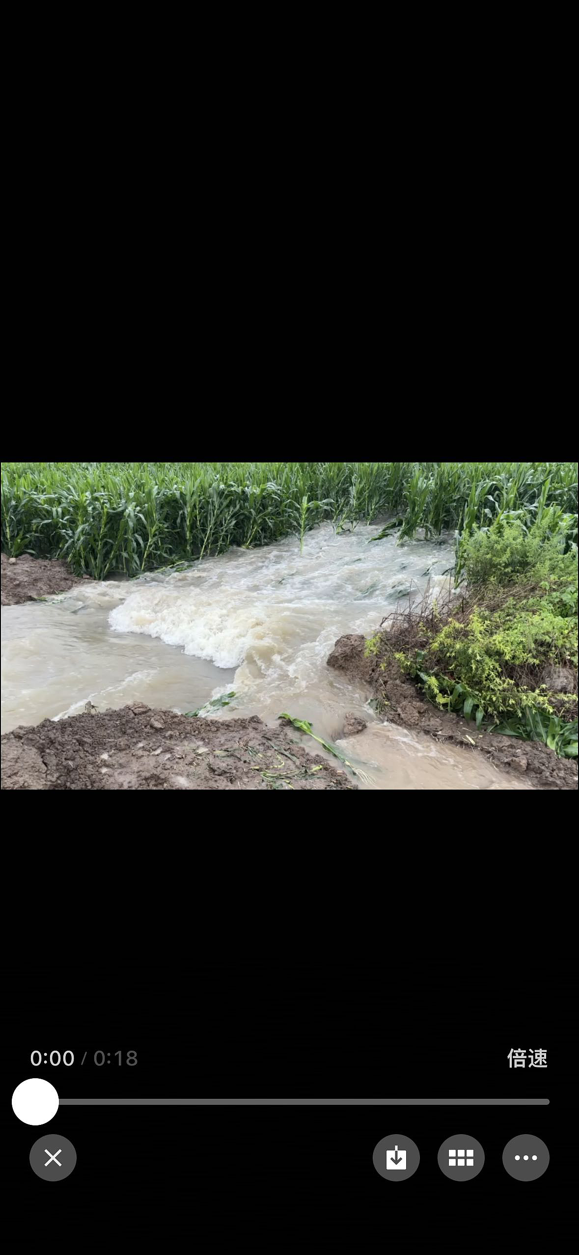 大旱后暴雨，河南农户浇水抢回来的庄稼又淹了（组图） - 3