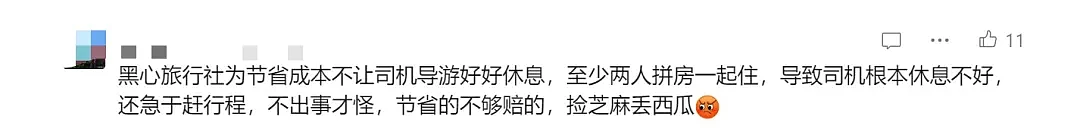 惊！满载中国游客的两辆大巴侧翻！车上一半是孩子，两人重伤！目击者：现场很可怕...（组图） - 9