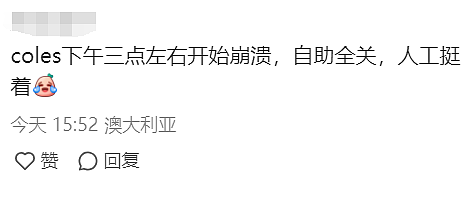 一家公司毁了全世界！澳洲最严重！史上最大IT故障致航班停飞、超市医院瘫痪！微软最新回应（组图） - 13