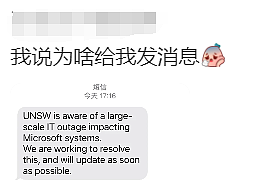 一家公司毁了全世界！澳洲最严重！史上最大IT故障致航班停飞、超市医院瘫痪！微软最新回应（组图） - 29