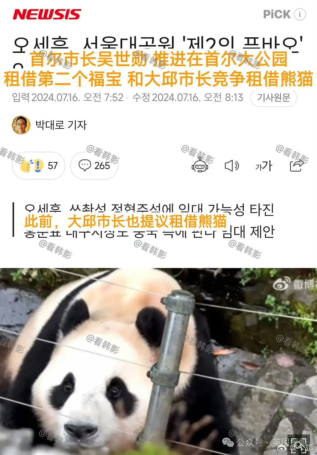 韩国人筹钱要给熊猫福宝讨公道？“他们虐待熊猫，必须赶紧还给我们！”（组图） - 33