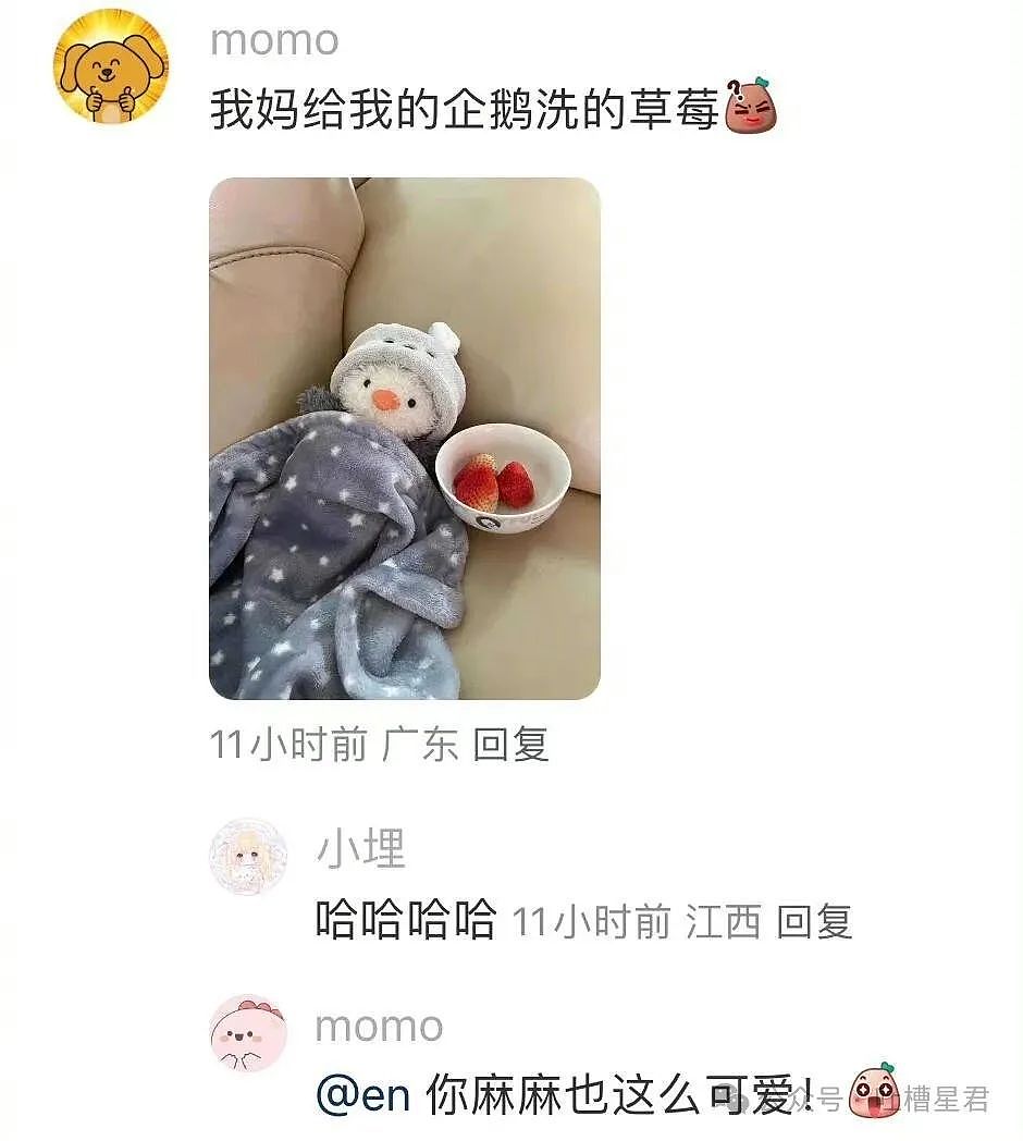 【爆笑】“烫头后直接去报警？比对图流出后...”啊啊清纯女大爆改钢丝球大妈！（组图） - 92